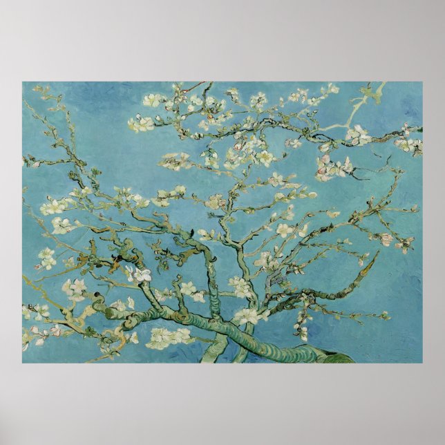 Póster Flor de almendra por Vincent Van Gogh (Frente)