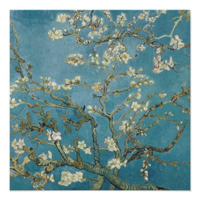 Póster Flor de almendras de Vincent van Gogh (1890) (Anverso)