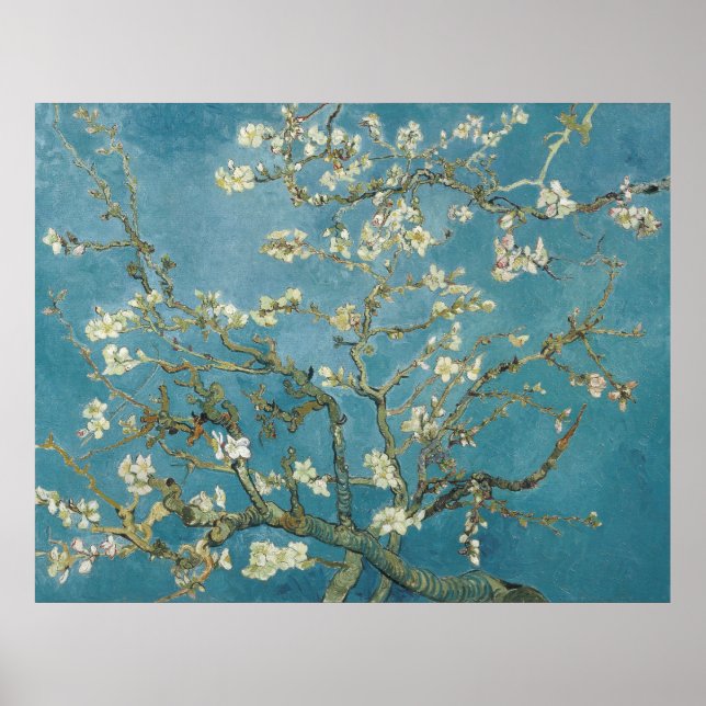 Póster Flor de almendras de Vincent van Gogh (1890) (Frente)