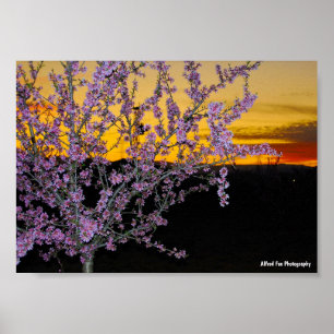 Póster Flor de Almendro Rosa en Cielo Amarillo