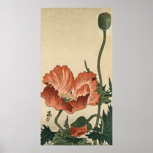 Póster Flor de amapola de Ohara Koson (Frente)