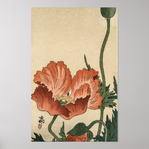 Póster Flor de amapola roja vintage de Ohara Koson