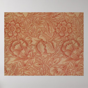 Póster Flor de amapola rosa William Morris