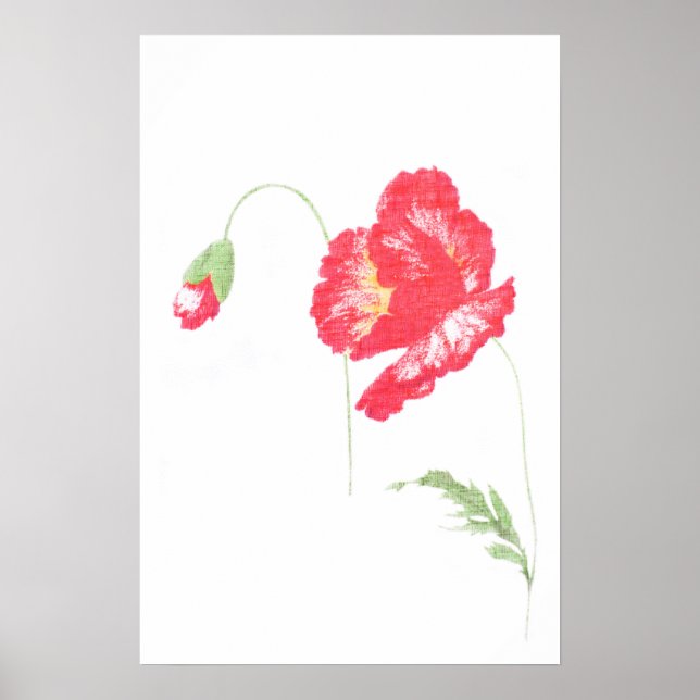 Póster Flor de amapola silvestre (Frente)