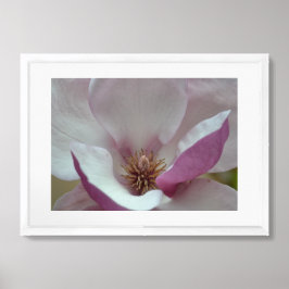 Póster Flor de árbol de tulipanes