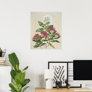 Póster Flor de Arbusto Antiguo