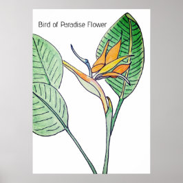 Póster Flor de Ave del Paraíso