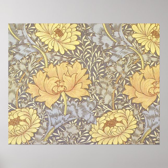 Póster Flor de Bonito William Morris Chrysanthemum (Frente)