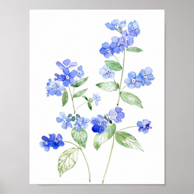 Póster flor de brunnera azul delicado (Frente)