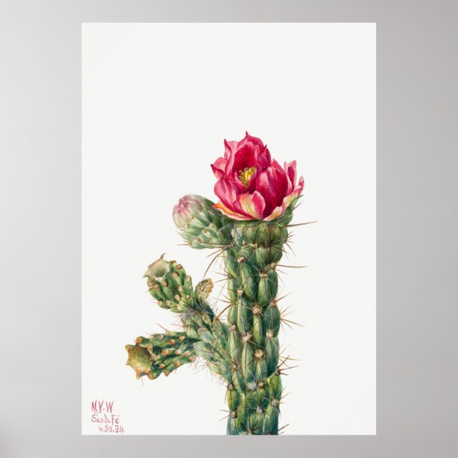 Póster Flor de Cactus (Frente)
