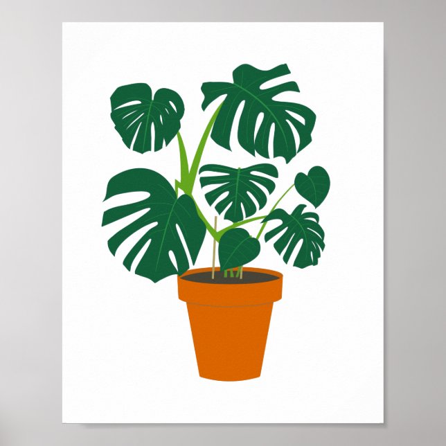 Póster Flor de café Monstera en flor (Frente)