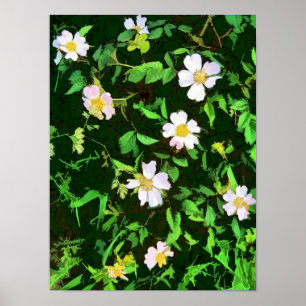PÓSTER FLOR DE CAMPO