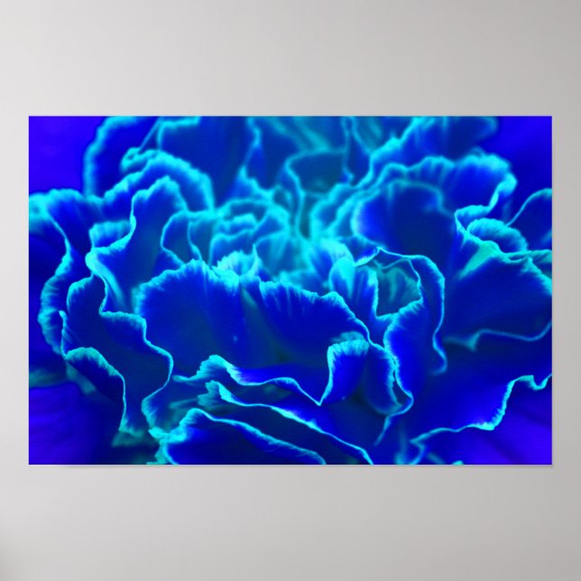 Póster Flor de canal azul y Verde azulada vibrante (Frente)