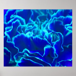 Póster Flor de canal azul y Verde azulada vibrante
