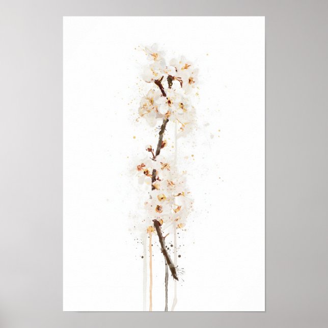Póster Flor de cerezo blanca (Frente)