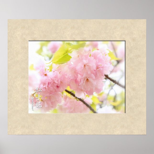 Póster Flor de cerezo doble: Benitemari (Frente)