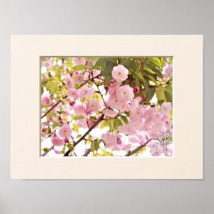 Póster Flor de cerezo doble: Imose