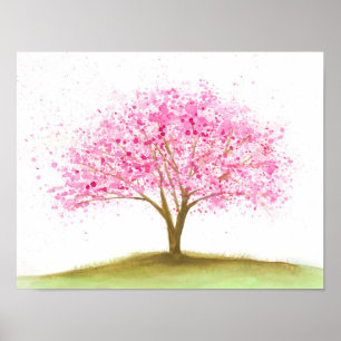 Póster Flor de cerezo floreciente del cerezo el   del