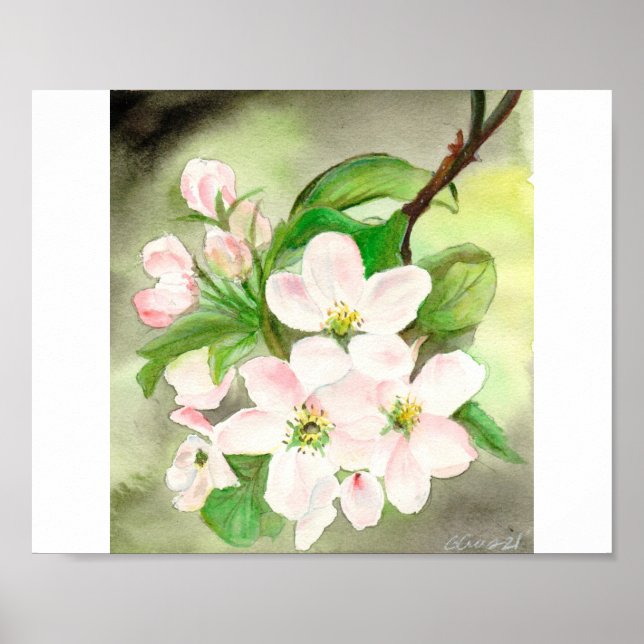 Póster Flor de cerezo rosa (Frente)