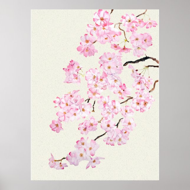 Póster Flor de cerezo rosa delgada acuarela 2024 (Frente)