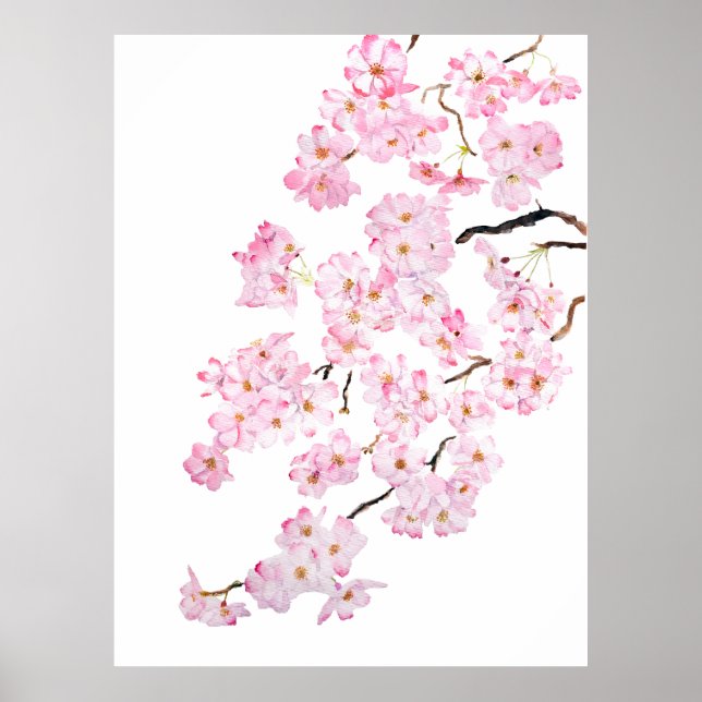 Póster Flor de cerezo rosa delgada acuarela 2024 2 (Frente)