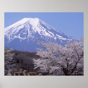 Póster Flor de cerezo y el monte Fuji