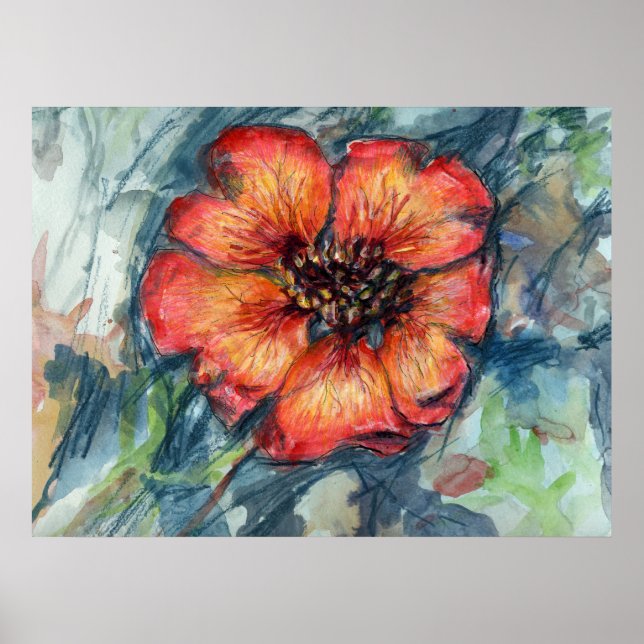 Póster Flor de cinquefoil de Nepal (Frente)