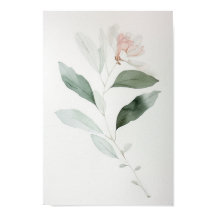 Flor de color blanco y rosa minimalista