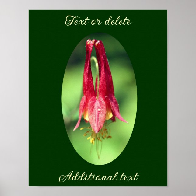 Póster Flor de Columbina silvestre agrega tu texto (Frente)