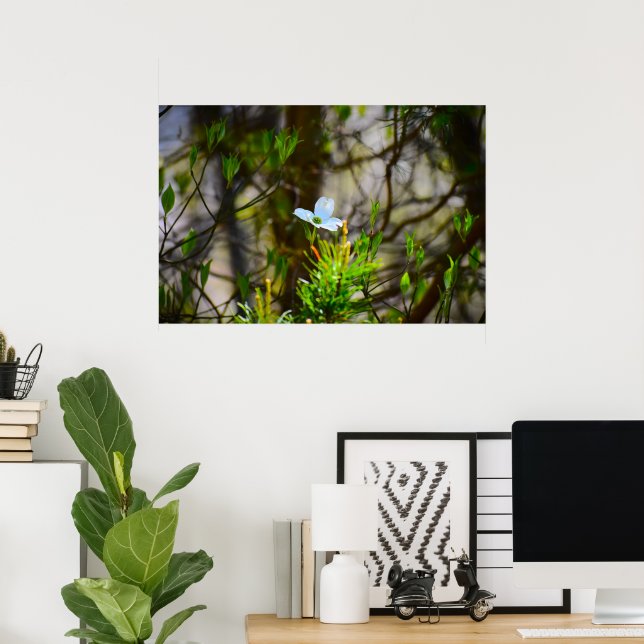 Póster Flor de cornejo,  (Oficina en casa)