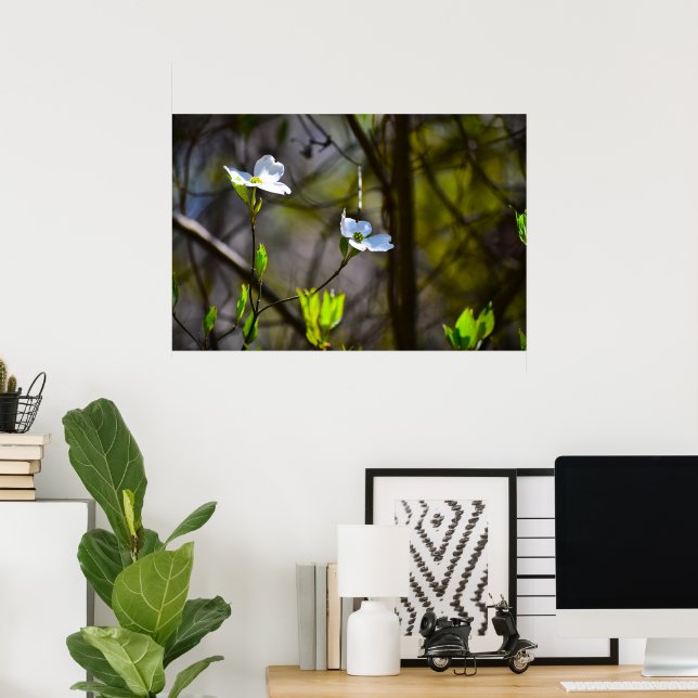 Póster Flor de cornejo,  (Oficina en casa)