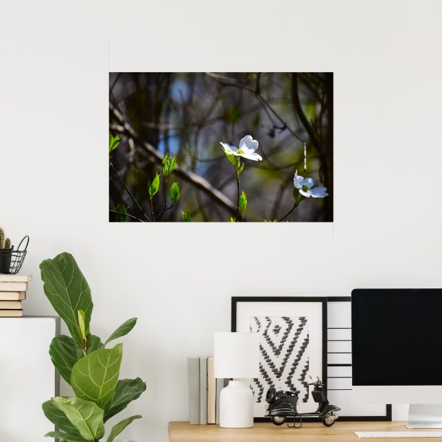 Póster Flor de cornejo,  (Oficina en casa)