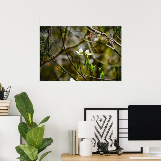 Póster Flor de cornejo,  (Oficina en casa)