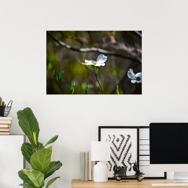 Póster Flor de cornejo,  (Oficina en casa)