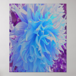 Póster Flor de Dahlia decorativa azul elegante