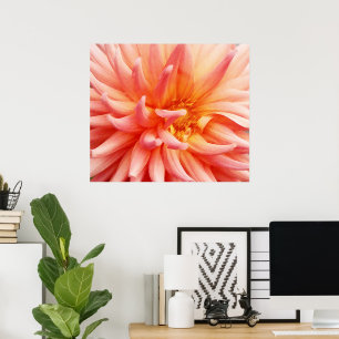 Póster Flor de Dahlia deslumbrante