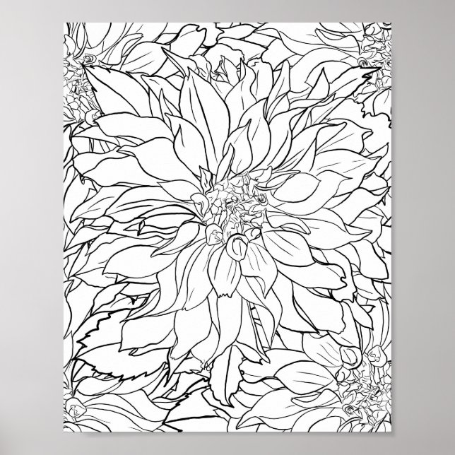 Póster Flor de Dahlia en blanco y negro (Frente)