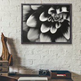 Póster Flor de Dahlia en blanco y negro
