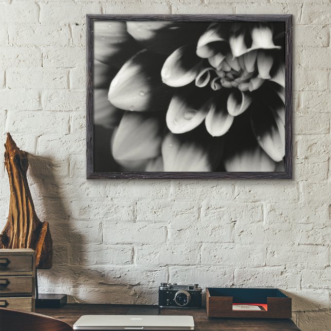 Póster Flor de Dahlia en blanco y negro (Subido por el creador)