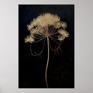 Póster Flor de encaje de reina seca Dark Academia, Oscuro