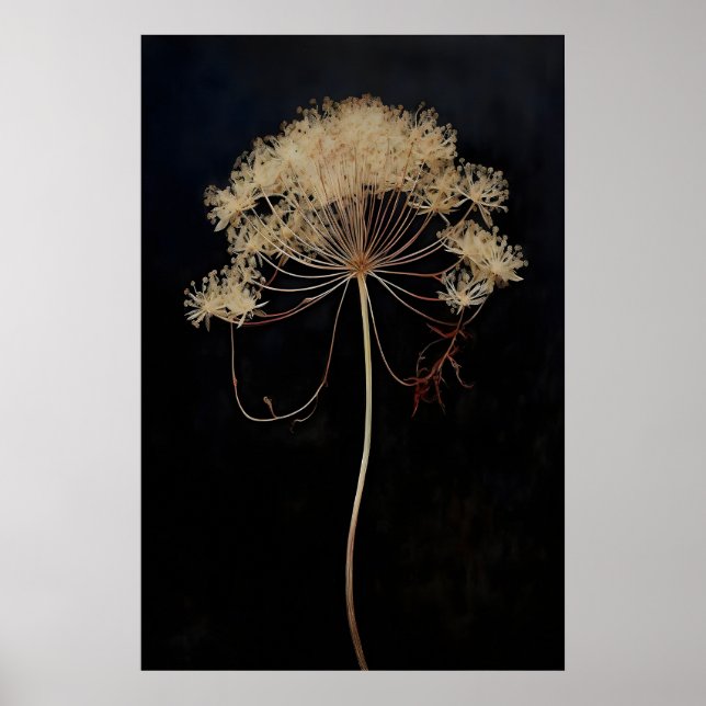 Póster Flor de encaje de reina seca Dark Academia, Oscuro (Frente)