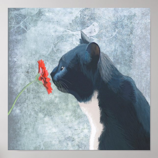 Póster Flor de esnifado de gato negro (Frente)