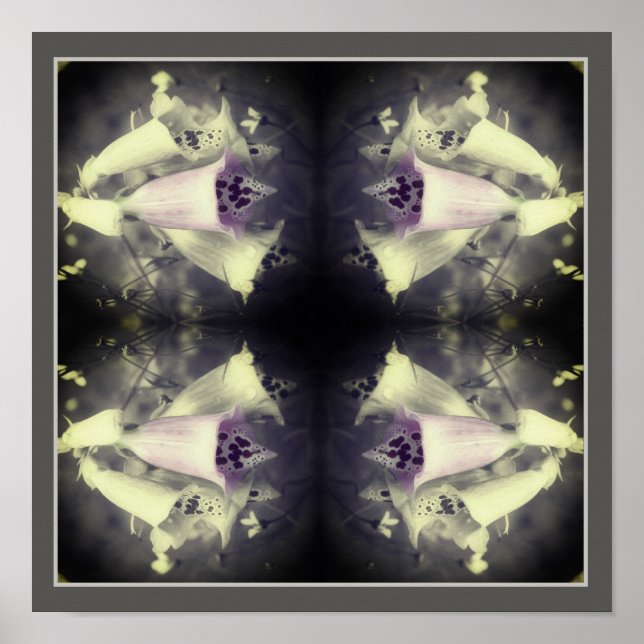 Póster Flor De Foxglove Rosa Negro Y Blanco Resumen (Frente)