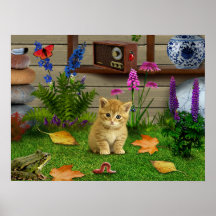flor de gato kitty rana foto poster naturaleza