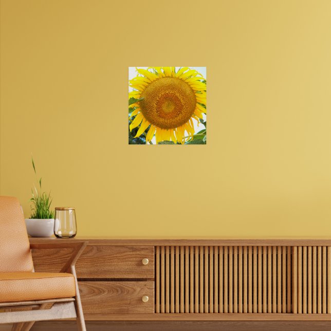 Póster Flor de girasol amarillo grande (Salón 2)