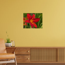 Póster Flor de Hemerocallis naranja