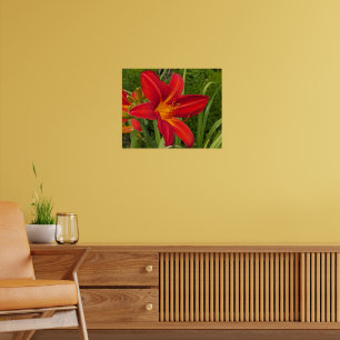 Póster Flor de Hemerocallis naranja