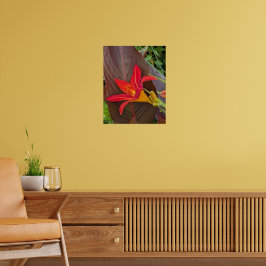 Póster Flor de Hemerocallis naranja y hoja de planta