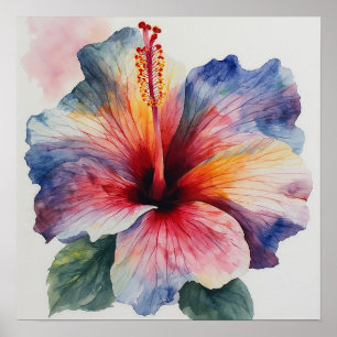 Póster Flor de Hibisco en Flor