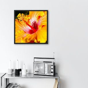 Póster Flor de Hibisco Naranja Vista Lateral Pequeña